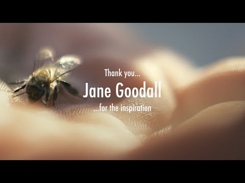 JANE GOODALL - Mother Earth