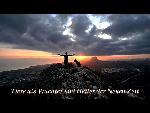Tiere als Wächter und Heiler der Neuen Zeit...