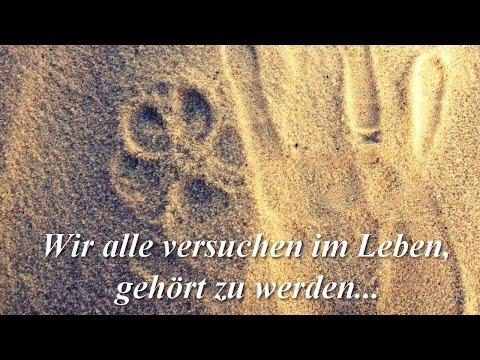 Wir alle versuchen im Leben, gehört zu werden...
