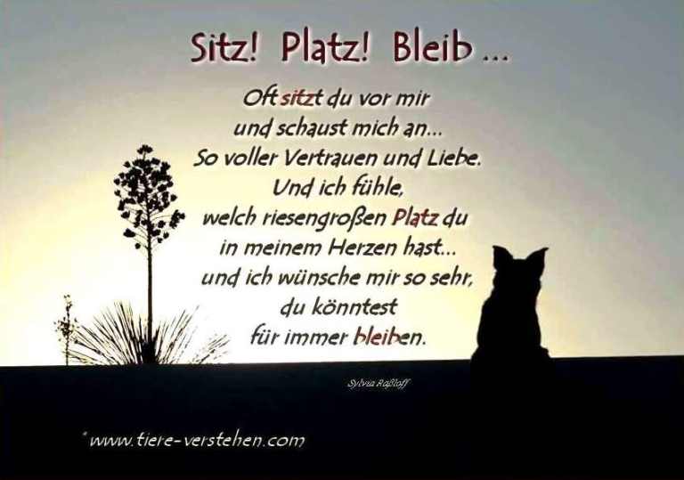 Du Hast Einen Platz In Meinem Herzen