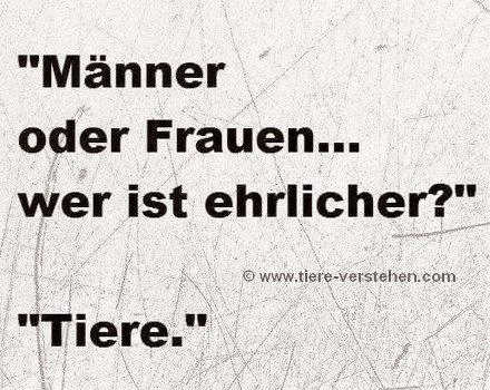 Männer oder Frauen