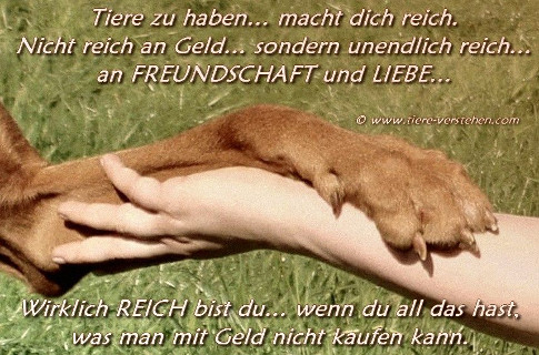 Tiere zu haben macht dich reich