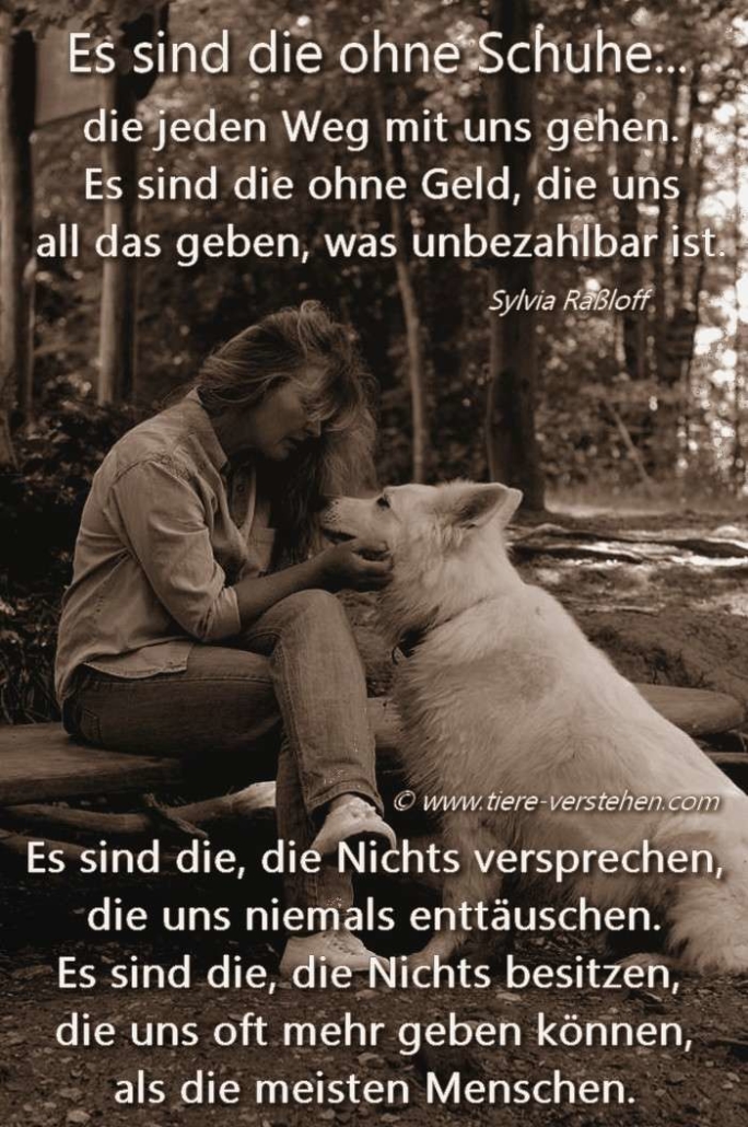 Es sind die ohne Schuhe… Tierkommunikation, Tierpsychologie &amp; Energetik