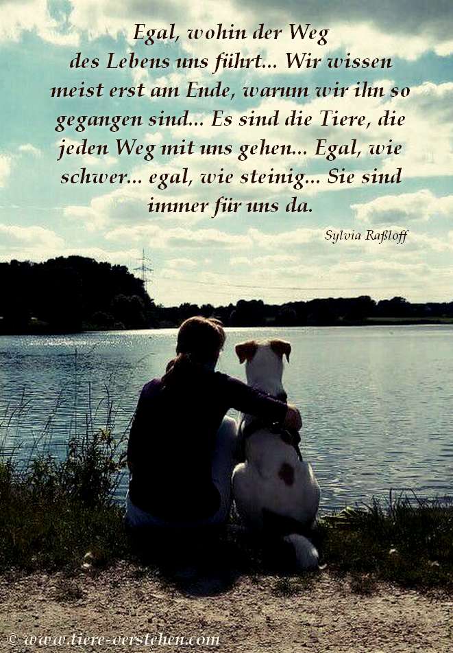Egal wohin der Weg des Lebens uns führt…