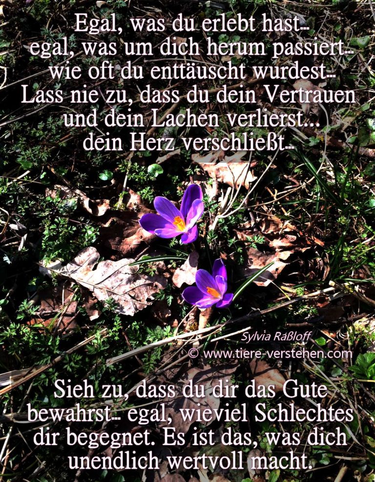 Bewahre das Gute in dir… Tierkommunikation