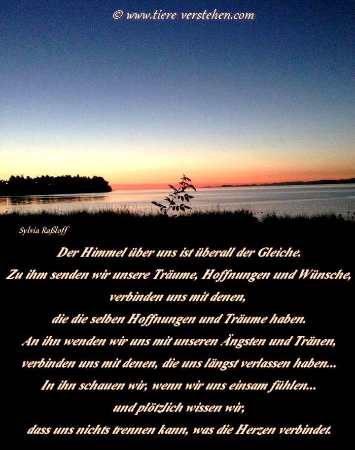 38++ Vatertag spruch im himmel info