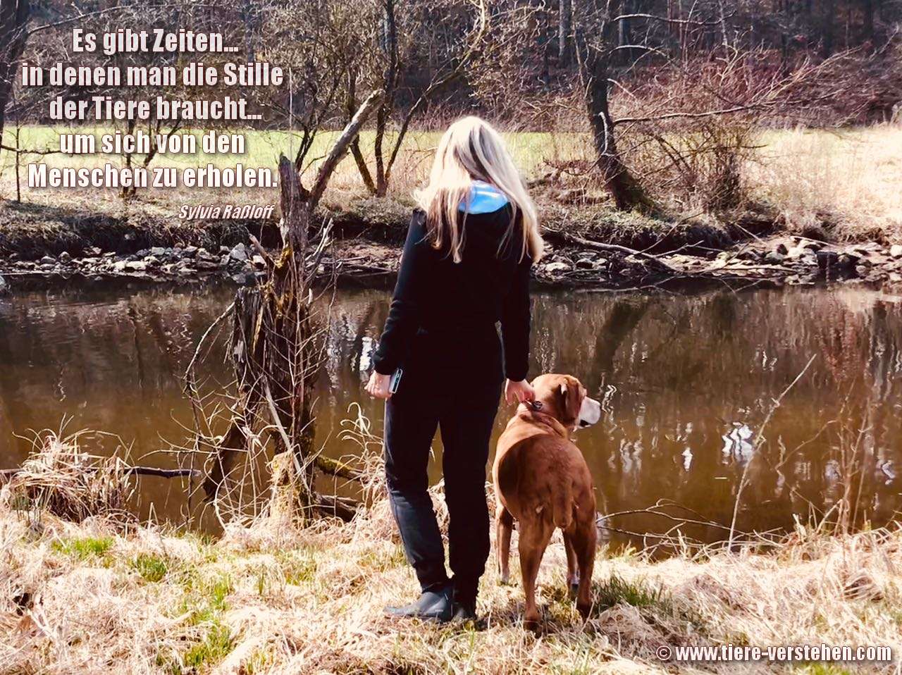 31+ Spruch Es Gibt Zeiten In Denen Man Tiere Braucht, „es gibt nur zwei
