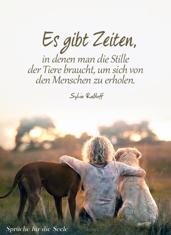 Es gibt Zeiten, in denen man die Stille der Tiere braucht