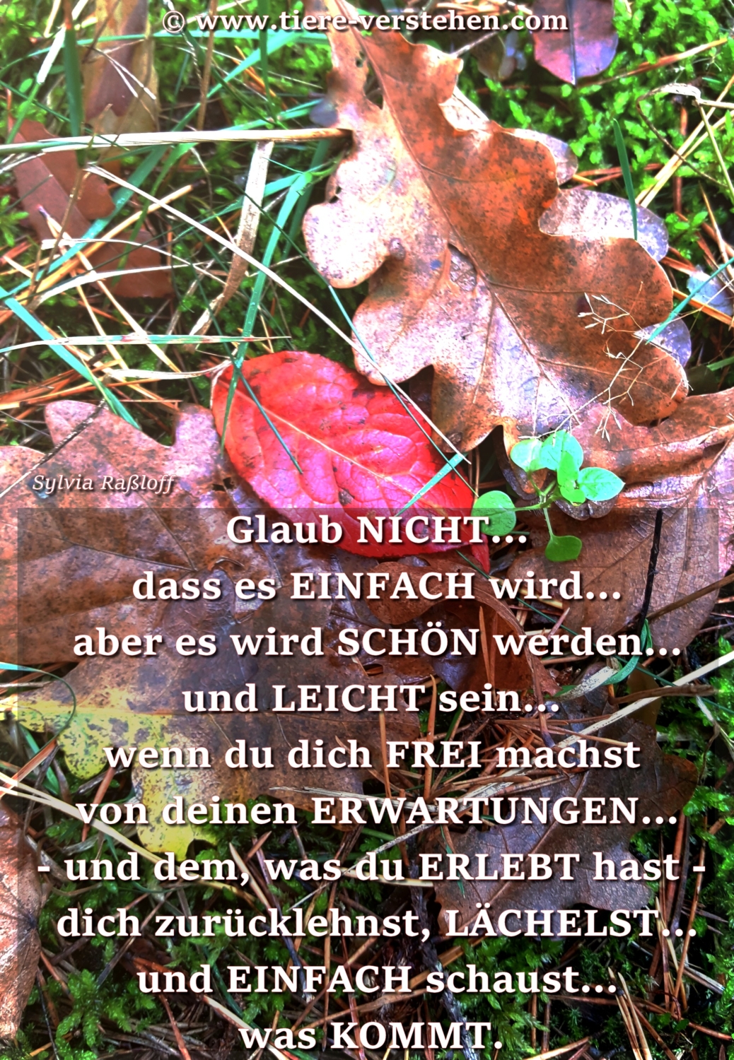 Glaub nicht, dass es einfach wird…