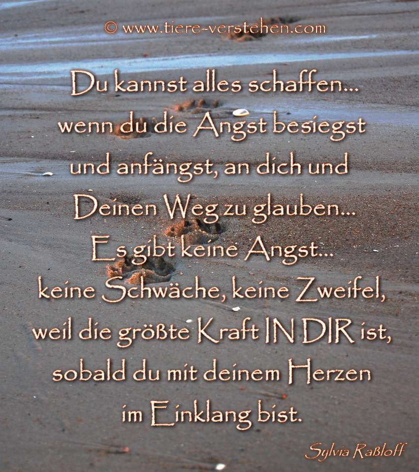 Du kannst alles schaffen... Tierkommunikation und Energetik