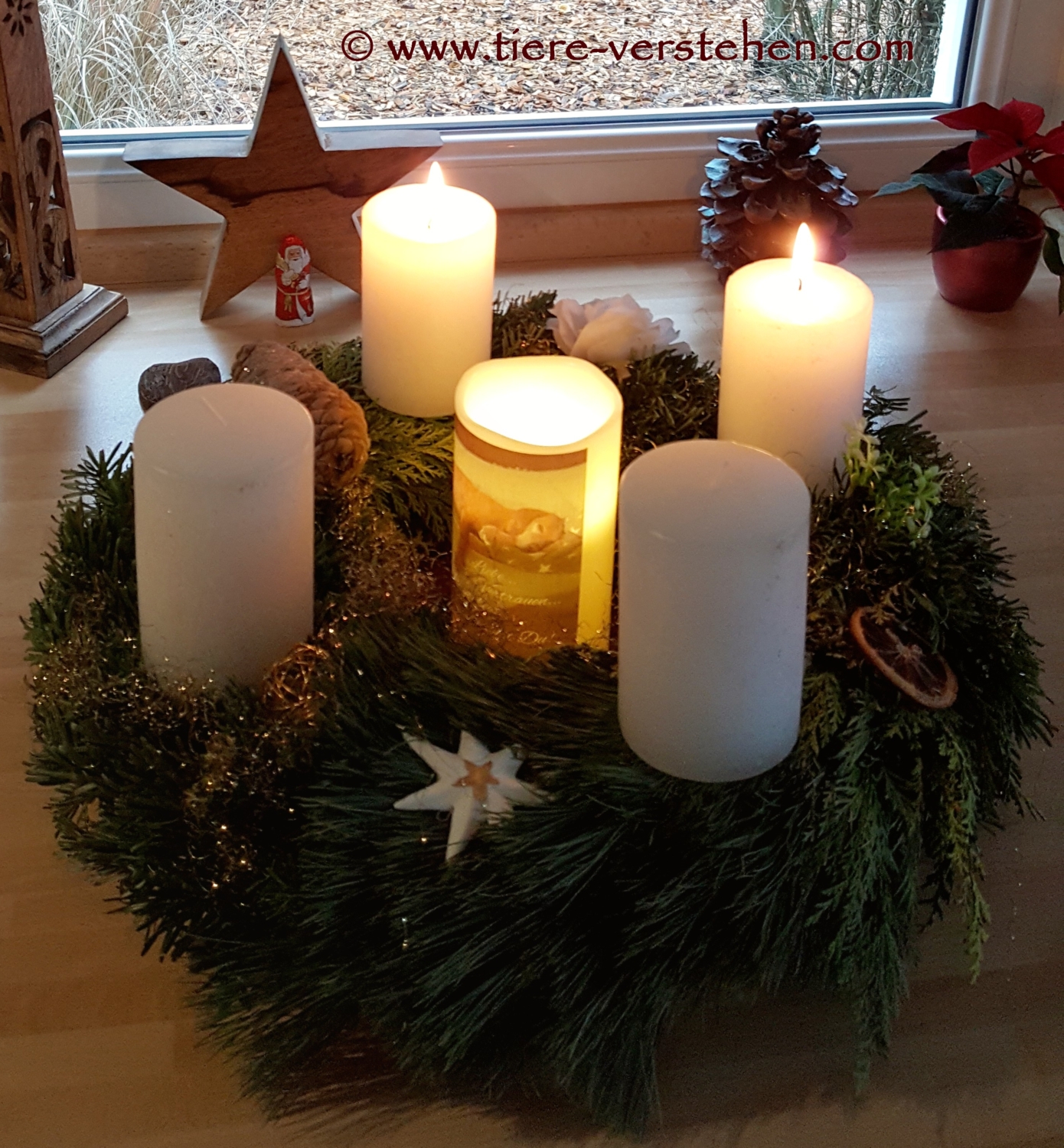 Hoffnung ist die 5. Kerze auf dem Adventskranz... Tierkommunikation