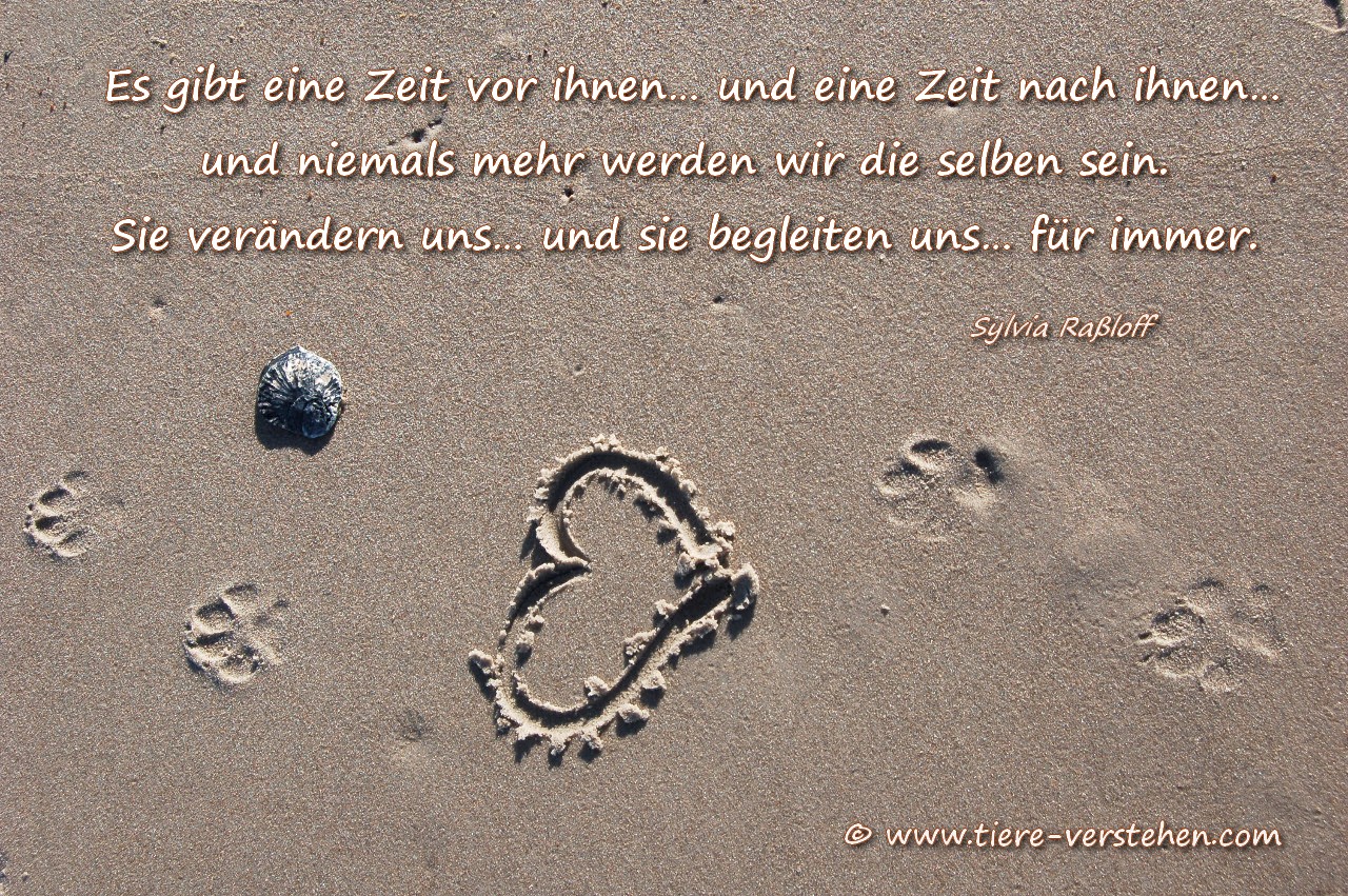 Zeit er sucht sie