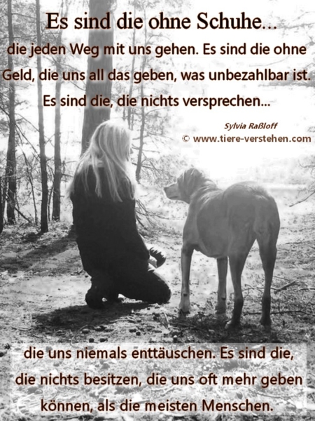 Es sind die ohne Schuhe... Tierkommunikation und Energetik