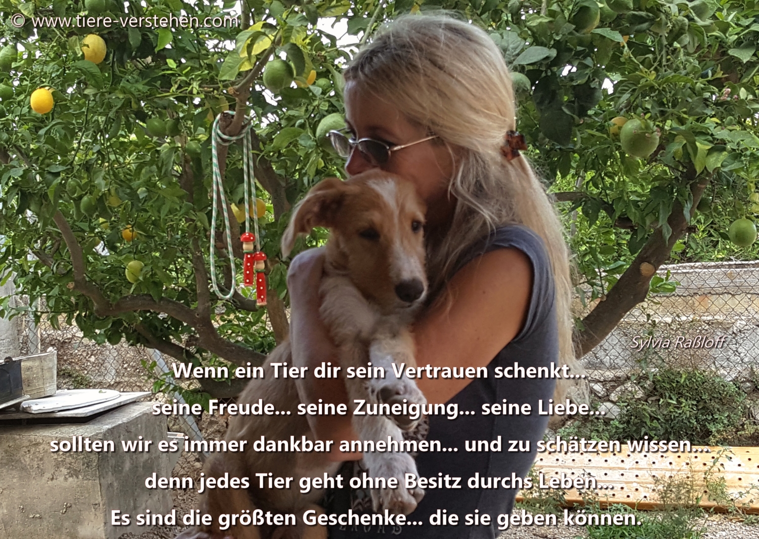 Jedes Tier geht ohne Besitz durchs Leben…