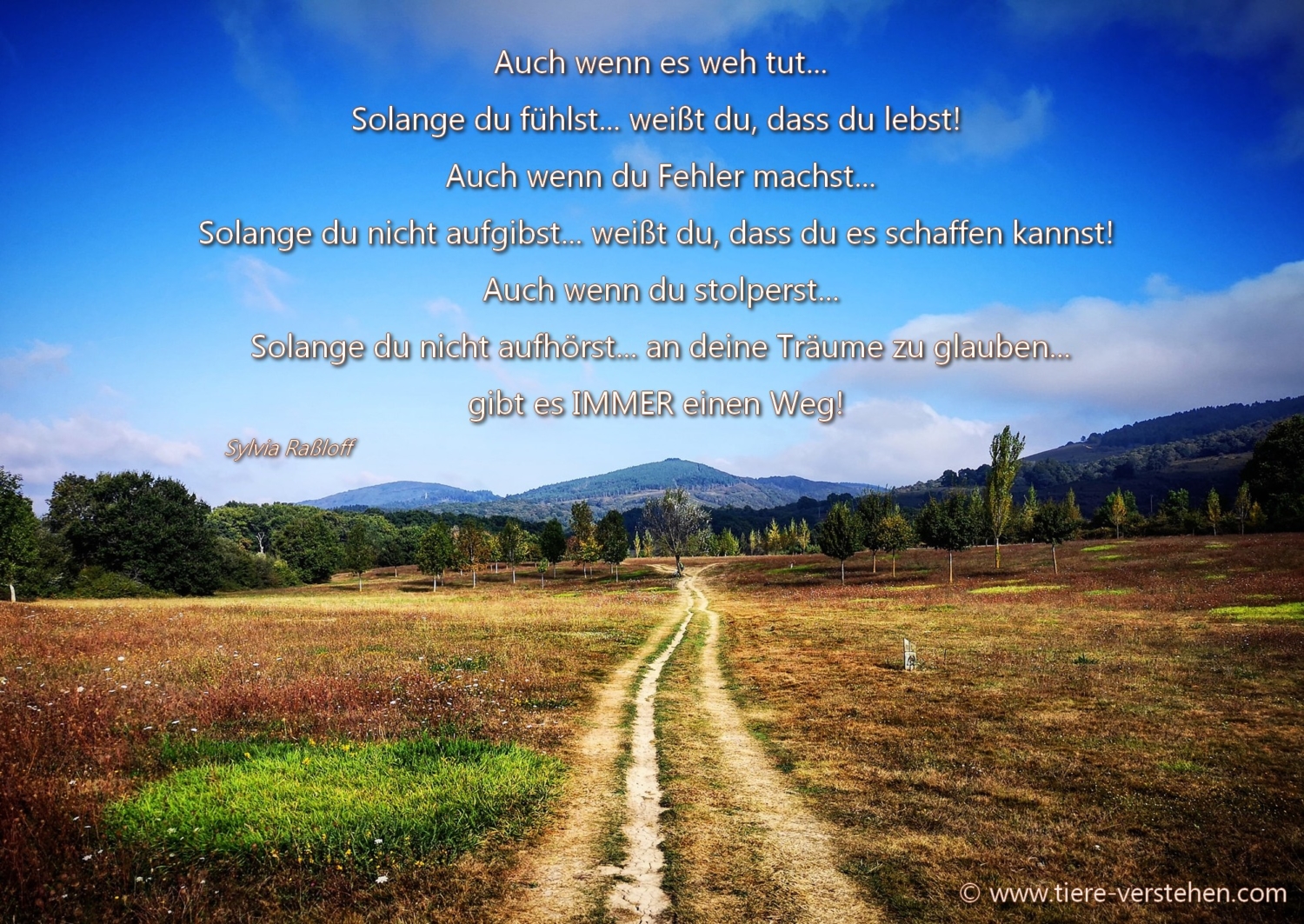 Es gibt immer einen Weg… Tierkommunikation