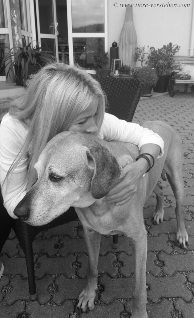 Get Nicht verlieren koennen For Android Nicht Verlieren Koennen