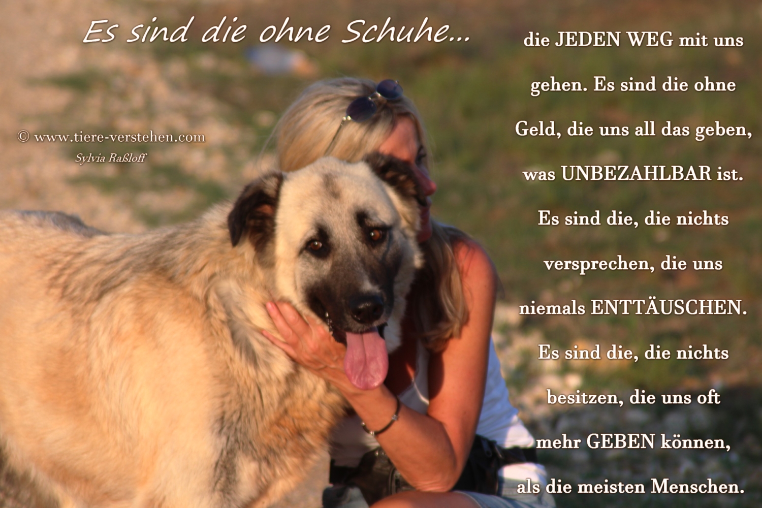 Es sind die ohne Schuhe... Tierkommunikation und Energetik