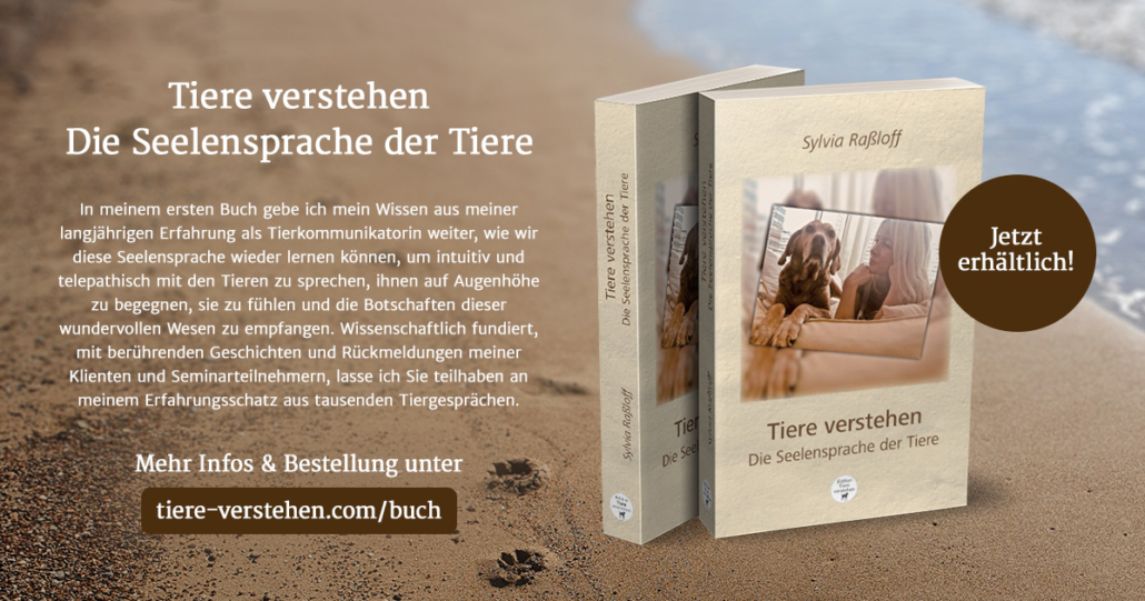 Mein Buch „Tiere verstehen – Die Seelensprache der Tiere“ – Tiere