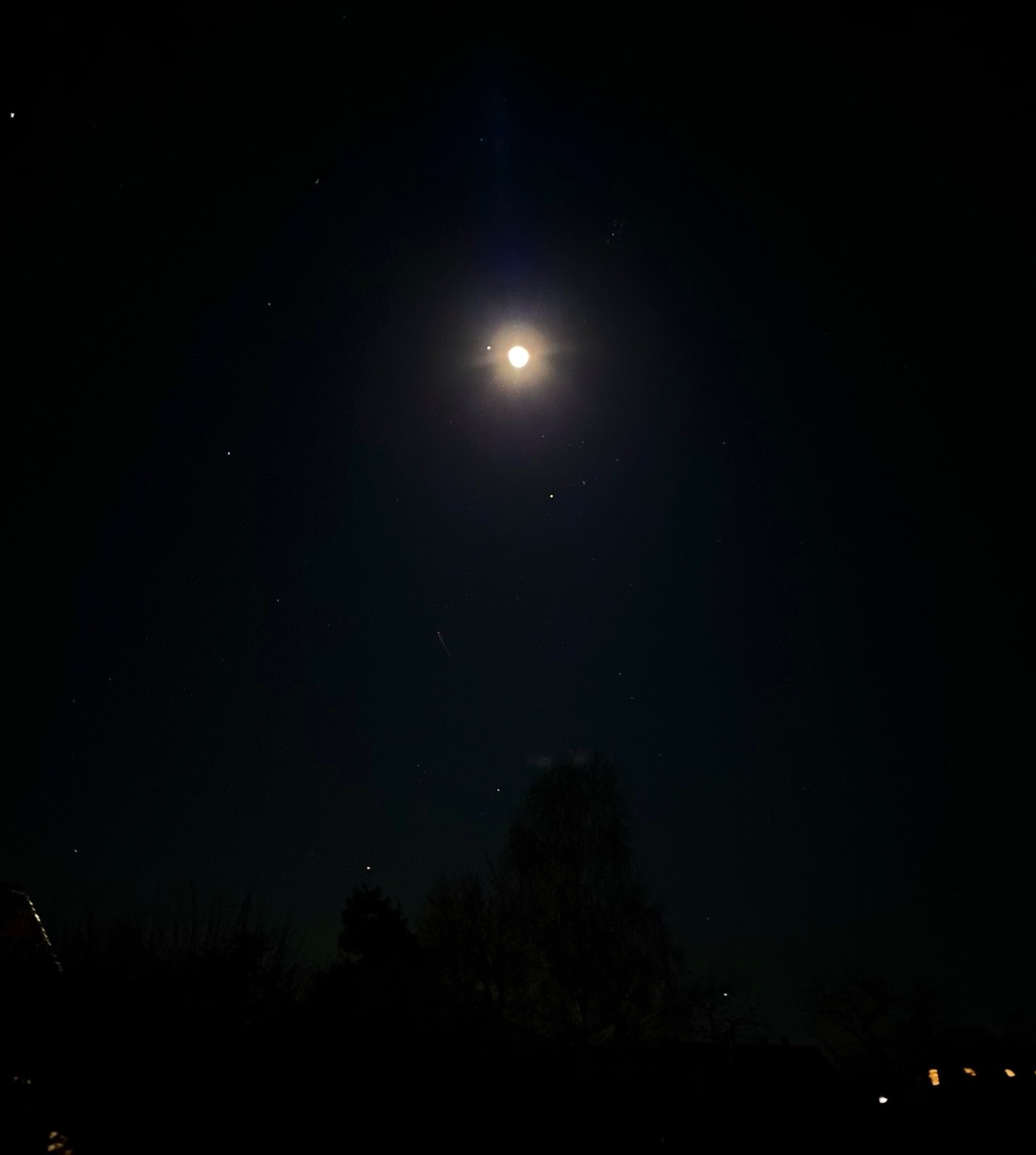 Mond und Mars... - Tierkommunikation und Energetik