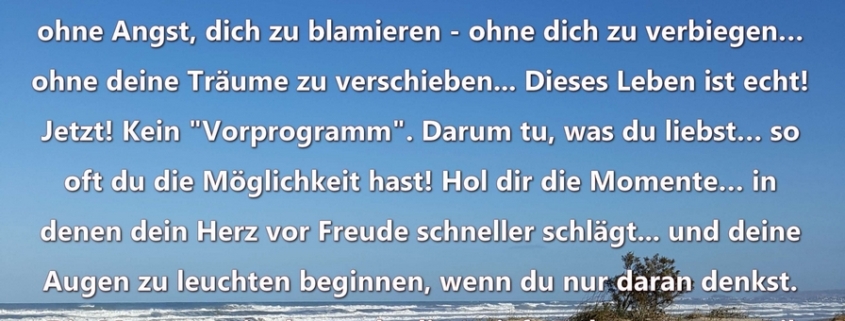 Texte Sylvia Raßloff